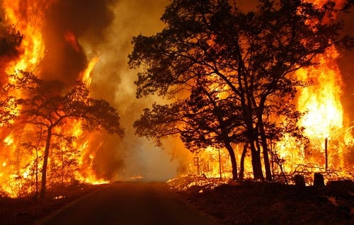 Texas Panhandle Wildfires